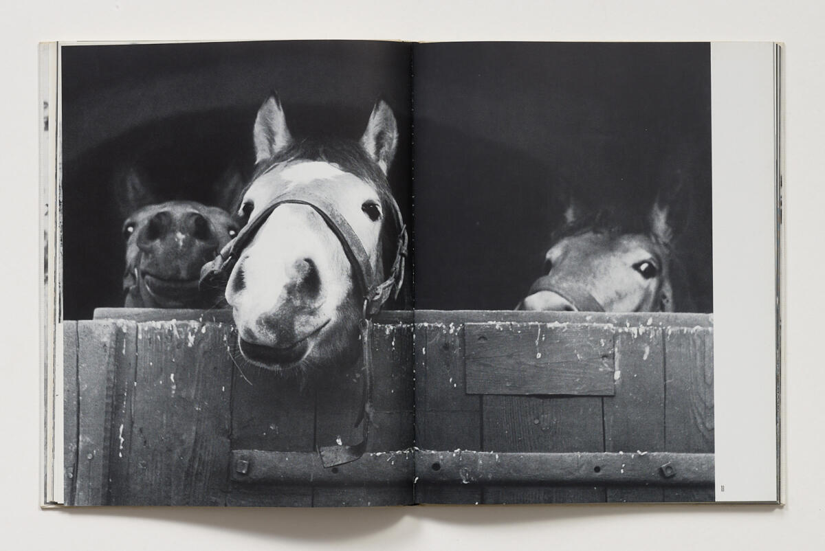 Zofia Raczkowska, ‘Pferde, Pferde’ (1973)