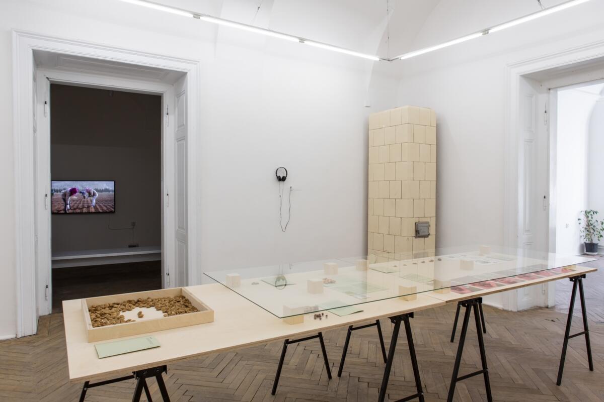 ‘Košice Seed Library. Seeds that Move’ at Šopa Gallery